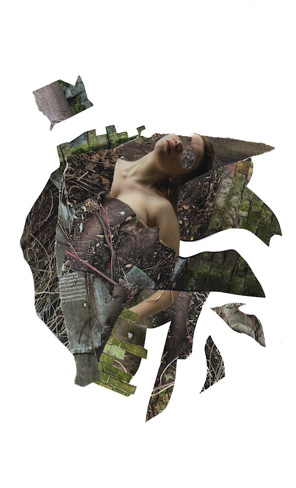 The Woods 2 by Emily Morgan