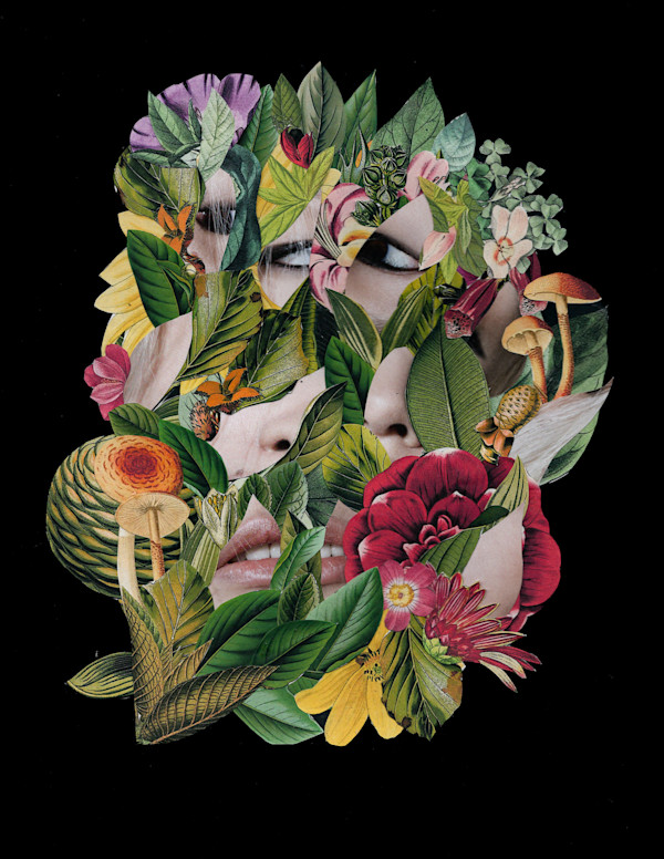 Undergrowth by Emily Morgan