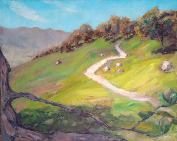 Afternoon Ascent, Santa Ysabel by Karla Mulry