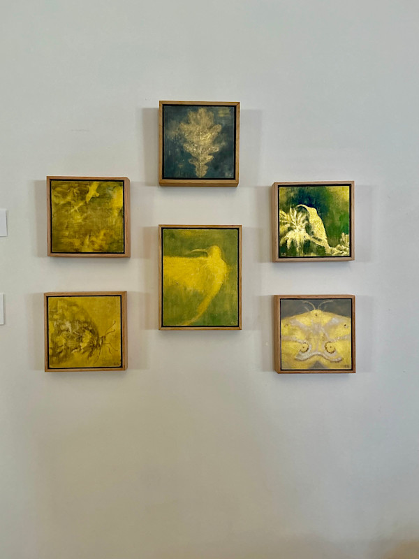 “Hallowed” series grouping by Rebecca Goldberg, Image 1.