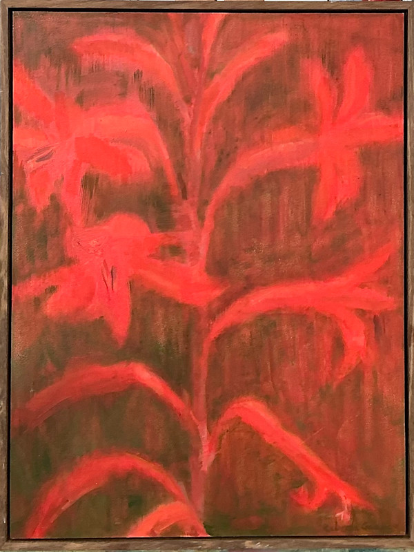 Watsonia by Rebecca Goldberg, Image 1.