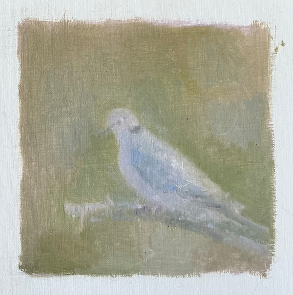 Turtle Dove by Rebecca Goldberg, Image 1.