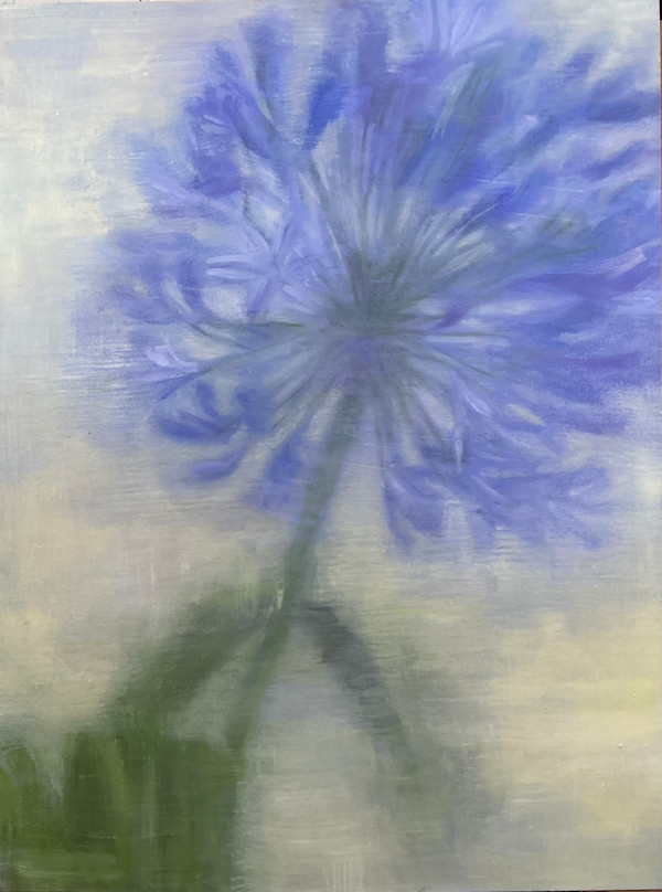 Agapanthus by Rebecca Goldberg, Image 1.