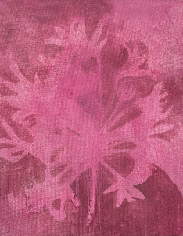 Brunsvigia by Rebecca Goldberg, Image 1.