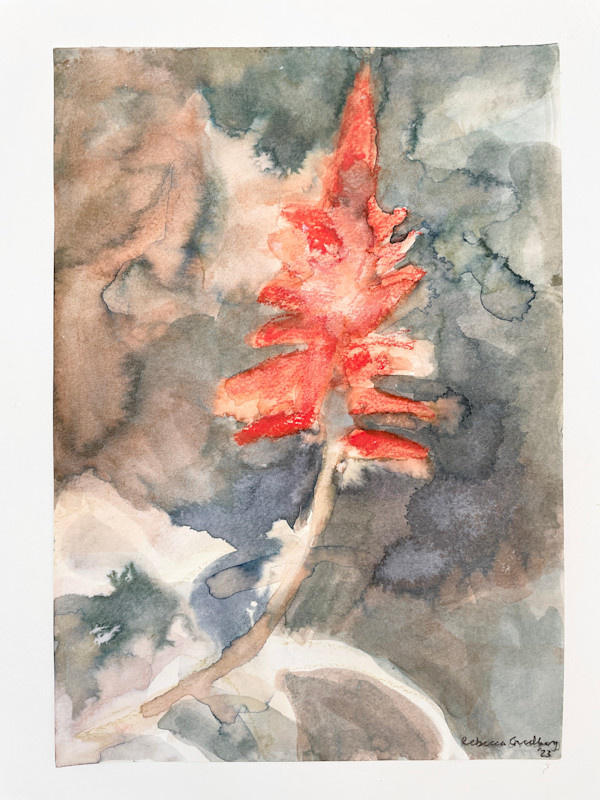 Aloe by Rebecca Goldberg, Image 12.