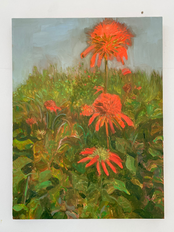 Leonotis by Rebecca Goldberg, Image 1.