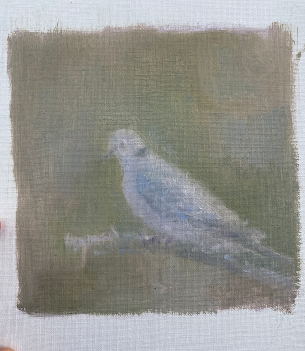 Turtle Dove by Rebecca Goldberg, Image 1.