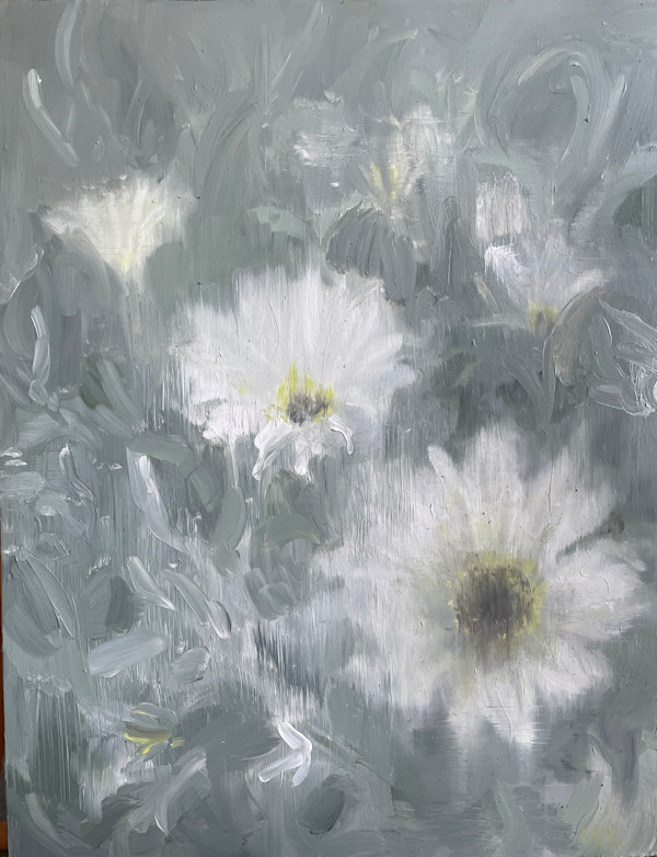 Namaqua Daisies by Rebecca Goldberg, Image 10.
