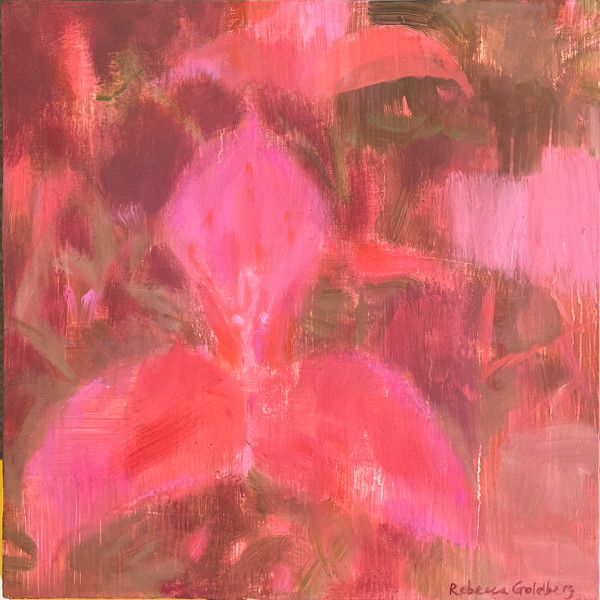 Disa ( framed in Kiaat) by Rebecca Goldberg, Image 1.