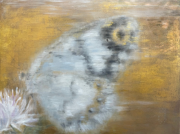 Little Butterfly Watching by Rebecca Goldberg, Image 1.