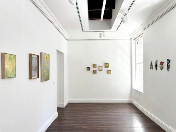 In Suspended Light (installation) by Rebecca Goldberg