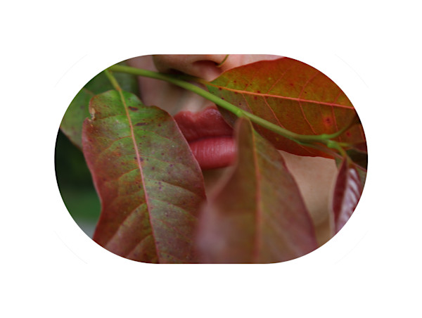 Okehocking Preserve by Cameryn Popiel