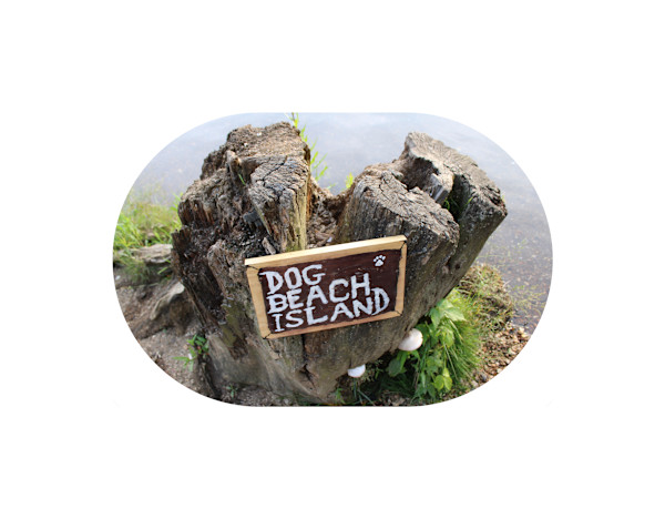 Okehocking Preserve by Cameryn Popiel