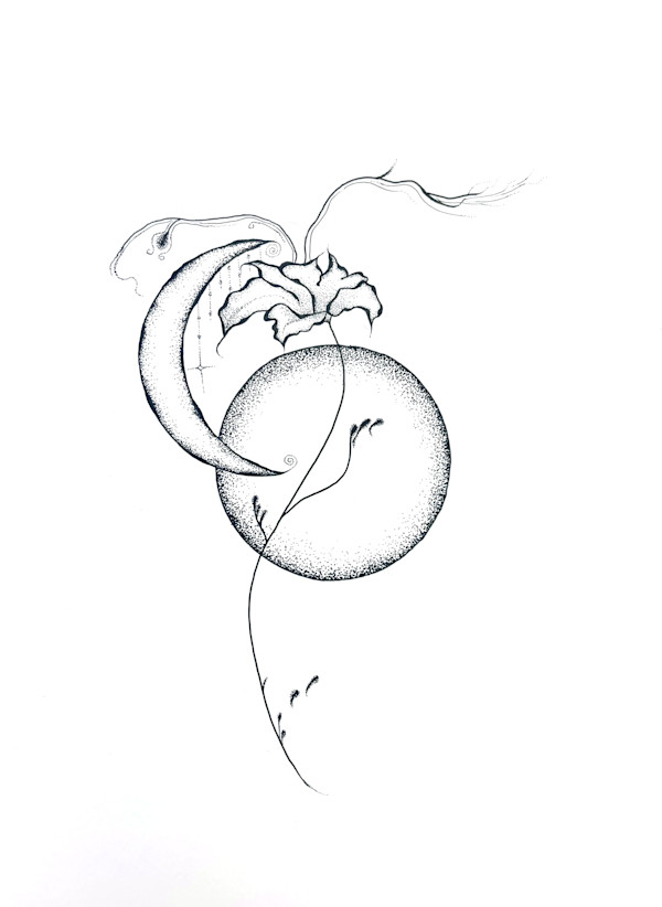 Twilight by Cameryn Popiel