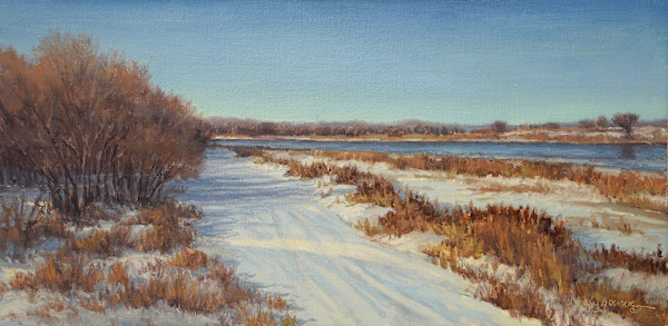 Apricity by Debra Joy Groesser