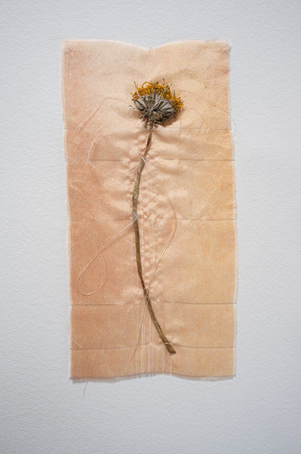 Embrace by Ruth Gilmour