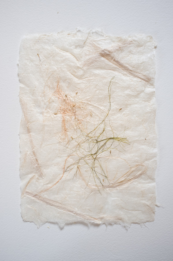 Dandelion 2 by Ruth Gilmour