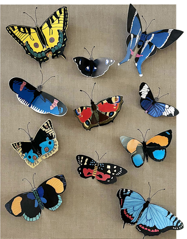 Flying Free by Brenda Bell, Image 19.