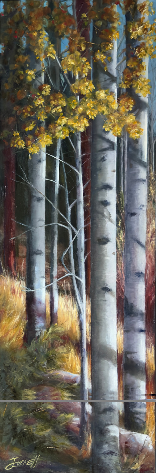 Slice of Estes by Julee Everett