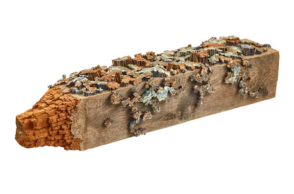 "prayer tree  31" by Dougie Padilla