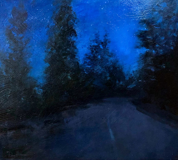 Blue Night Acadia # 2 | Acadia at Night by Don Ripper