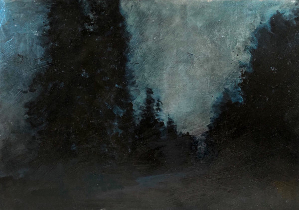 Shadows edge | Acadia at Night by Don Ripper