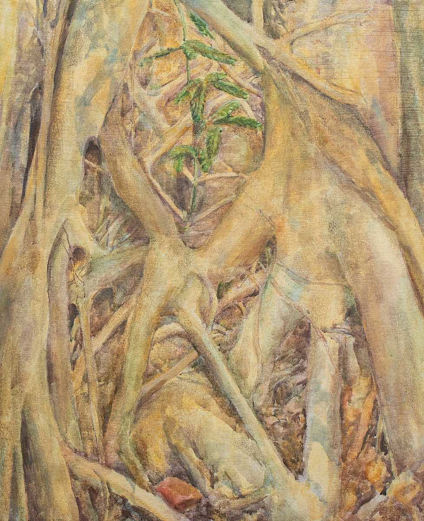 Complexities by Priyan Iqbal
