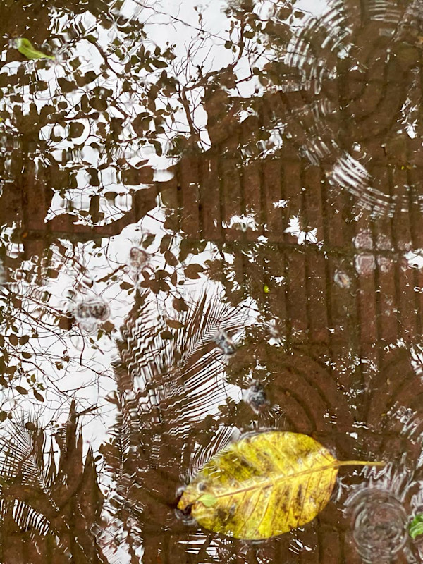 Reflections by Fazeela Morshed, Image 2.