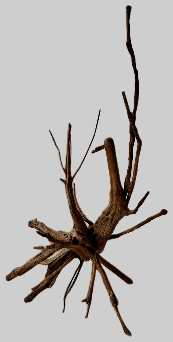 Bird Sculpture* by Ferdousi Priyabhashini