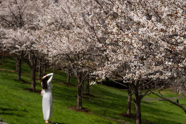 Among the Blossoms by Teauné Trice, Image 1.