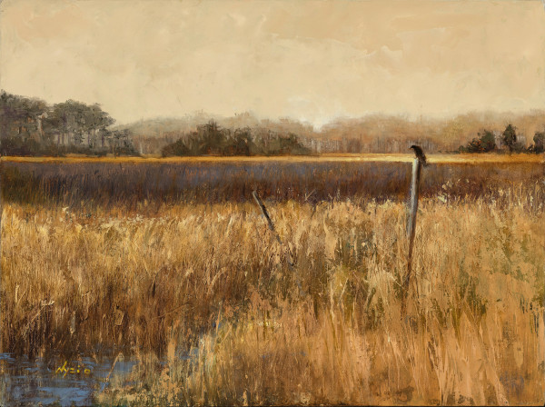 On Golden Marsh