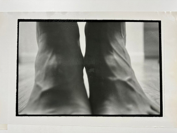 Elevation by kerenor, Image 5.