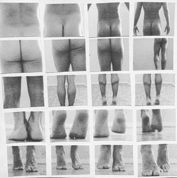 Albin by kerenor, Image 1.