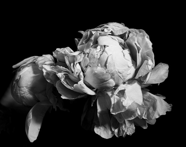My heart by kerenor, Image 1.