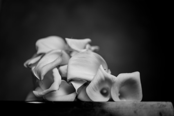 équilibre floral, composition chorégraphique by kerenor, Image 1.