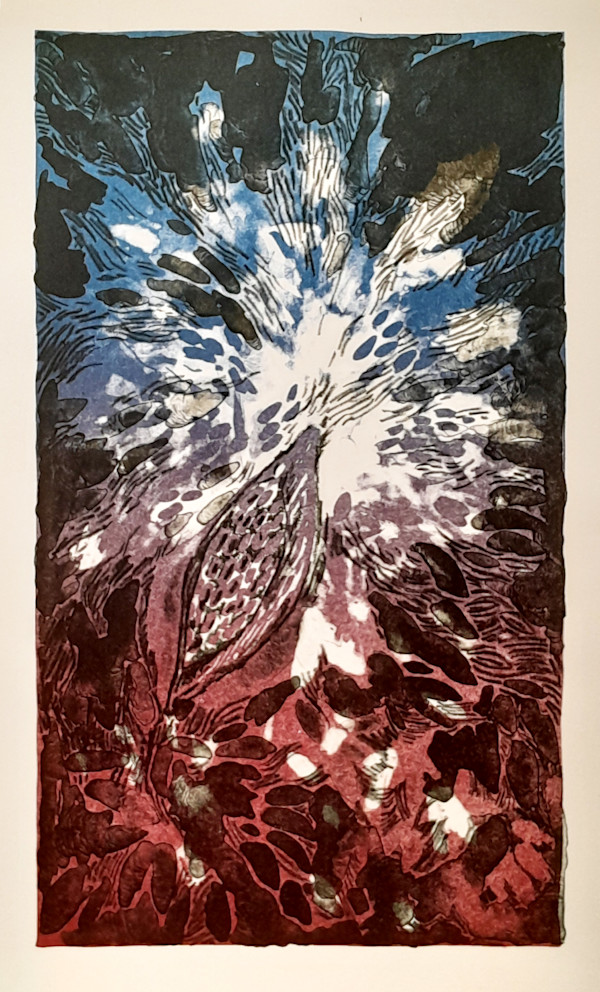 Milkweed 2/7 by Carol Schottenfeld