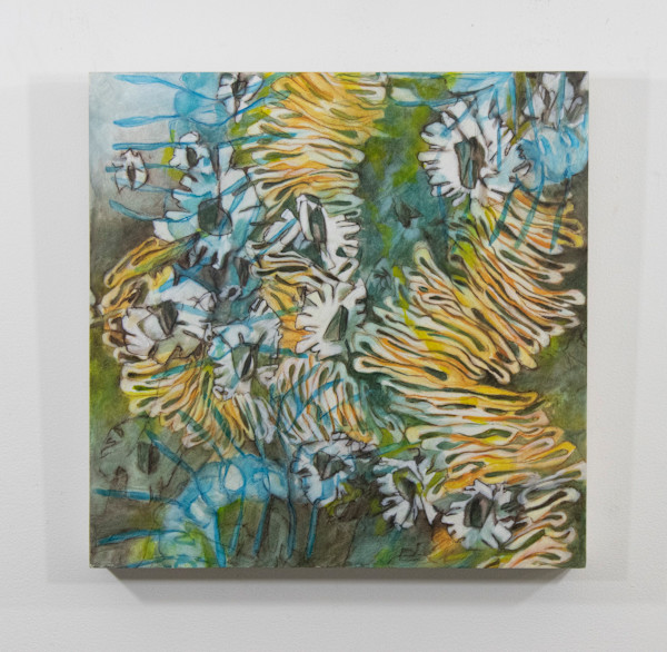 Barnacles and Lace by Darwin Nordin