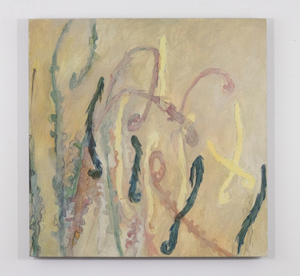 Fern Script by Darwin Nordin