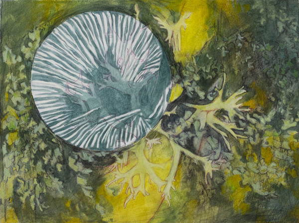 Forest Repose Interval 1 by Darwin Nordin