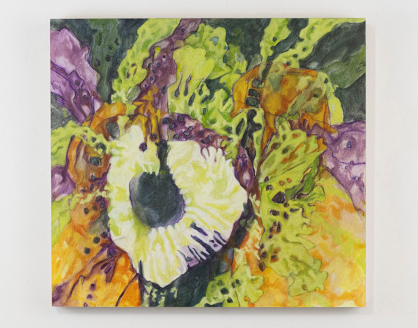 Intertidal Confections by Darwin Nordin