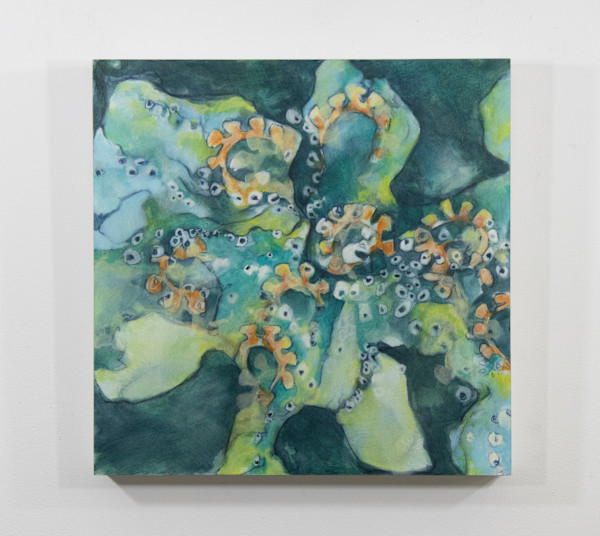 Little Colonies by Darwin Nordin