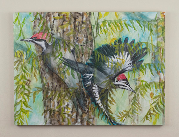 Loud Redhead by Darwin Nordin