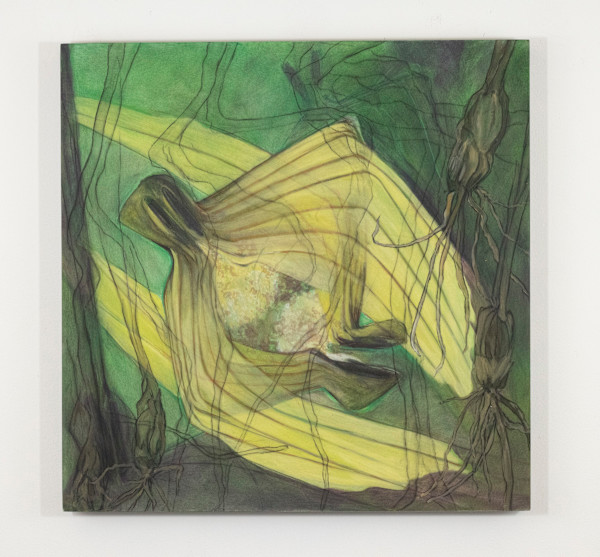 Roots and Wings by Darwin Nordin