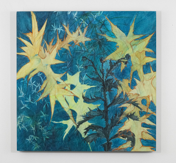 Thistles Sketch the Moon by Darwin Nordin