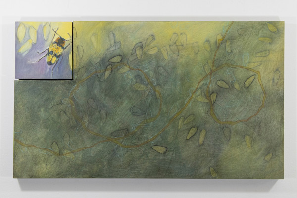 Trill by Darwin Nordin