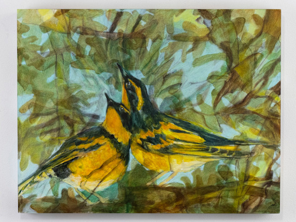 tiup by Darwin Nordin