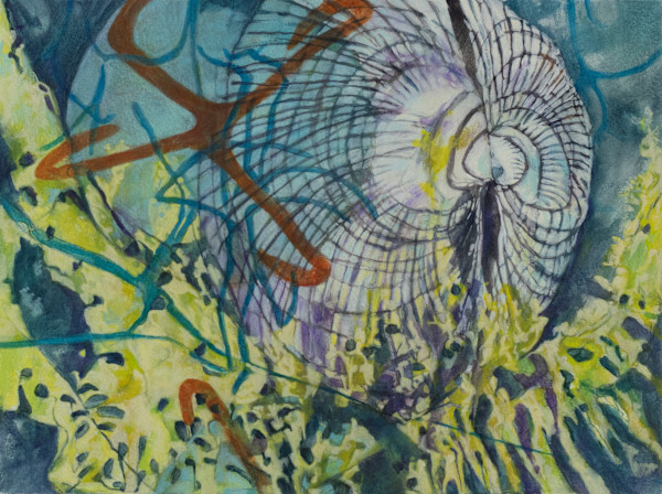 Intertidal Repose Interval 25 by Darwin Nordin