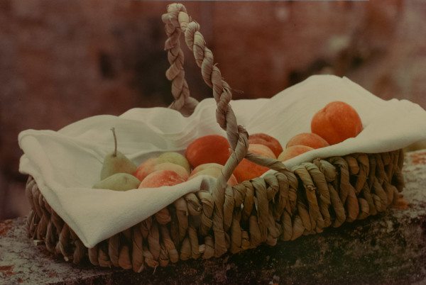Fruit in Basket by H. Landshoff