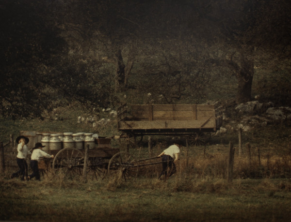 Farm Chore by Rowan P. Smolcha