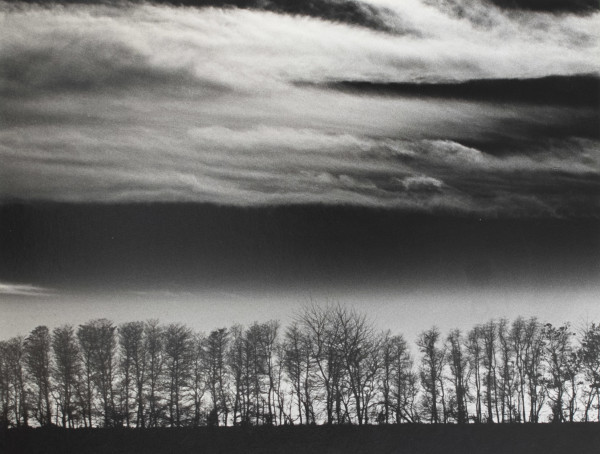 Trees and Clouds, N.Y by Stanley Kaufman